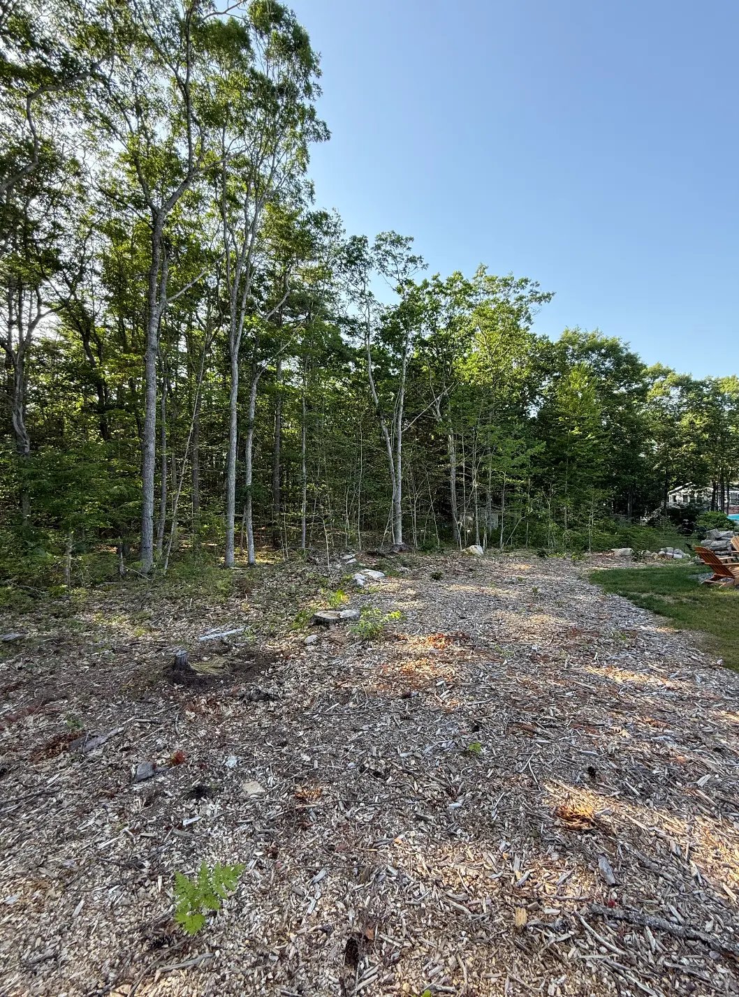 Wooded lot mulched down to wood chips before final grading and seeding